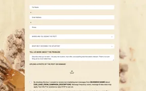 New Templates for Websites, Emails, Forms, Surveys, and Ads
