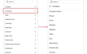 Company Variables in Contact-Based Workflows