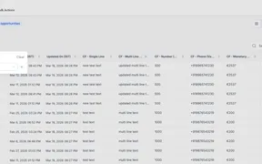 Sort Opportunities by Custom Fields