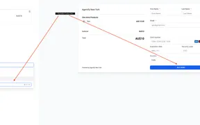 Custom Checkout Button Text for Payment Links