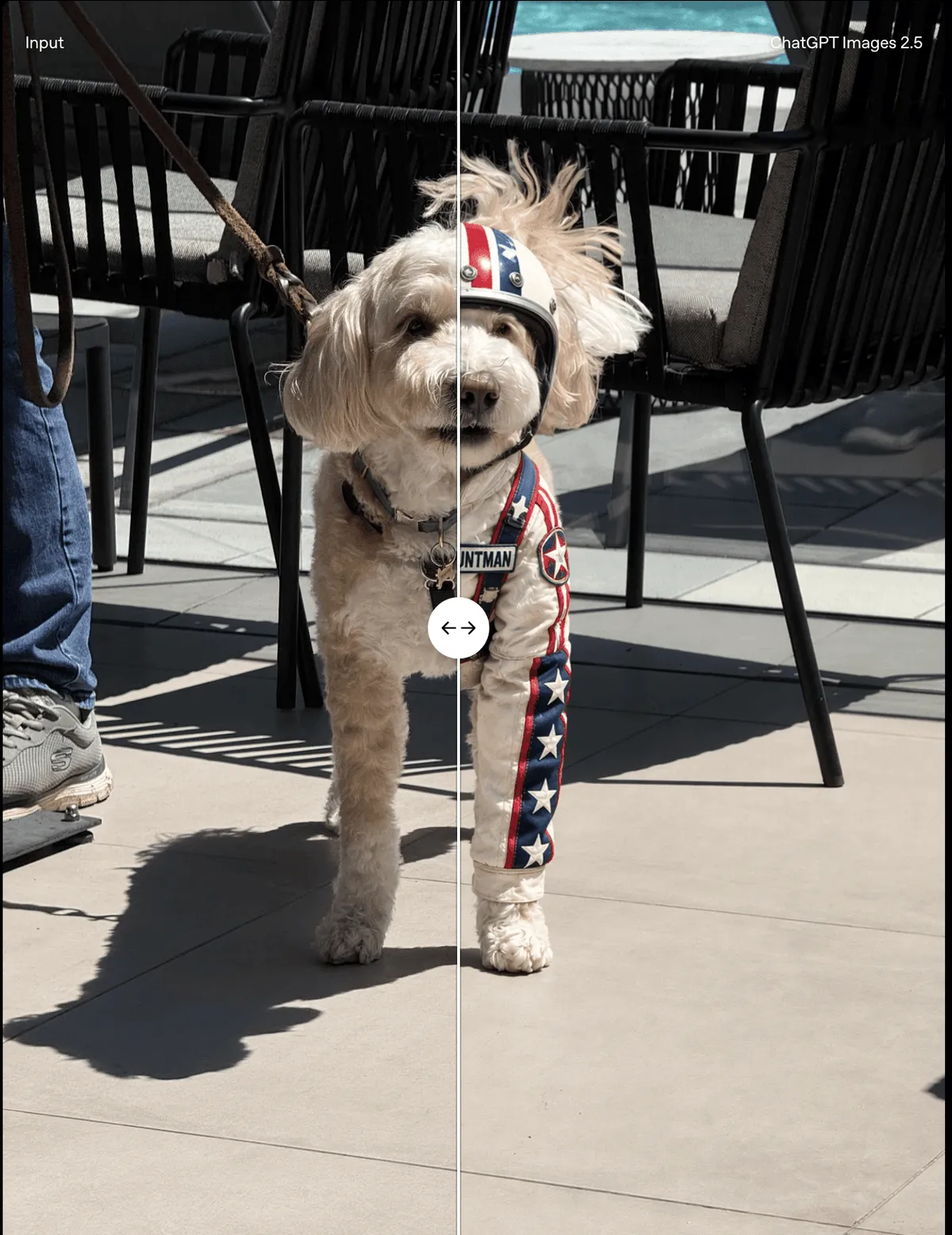 Before-and-after image comparison showing a dog photo