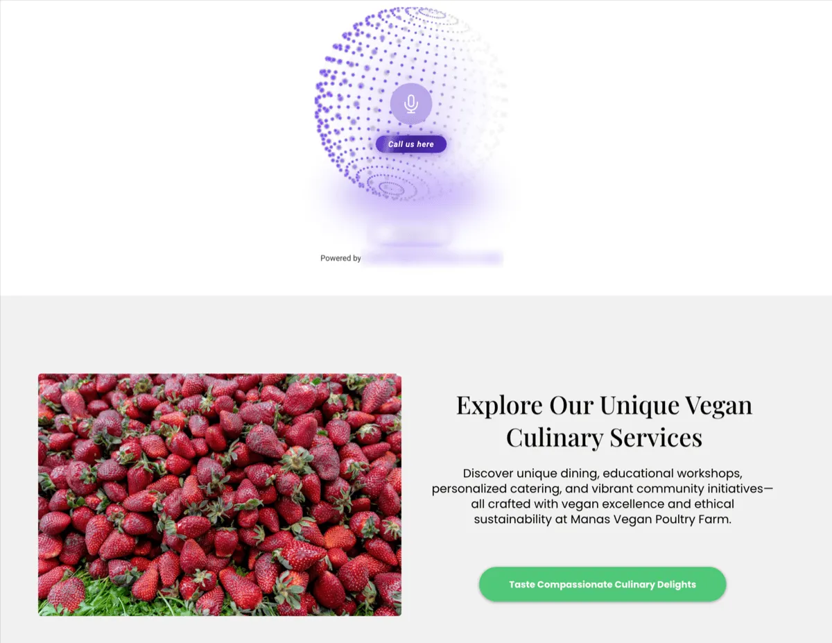 Voice AI widget embed code options
