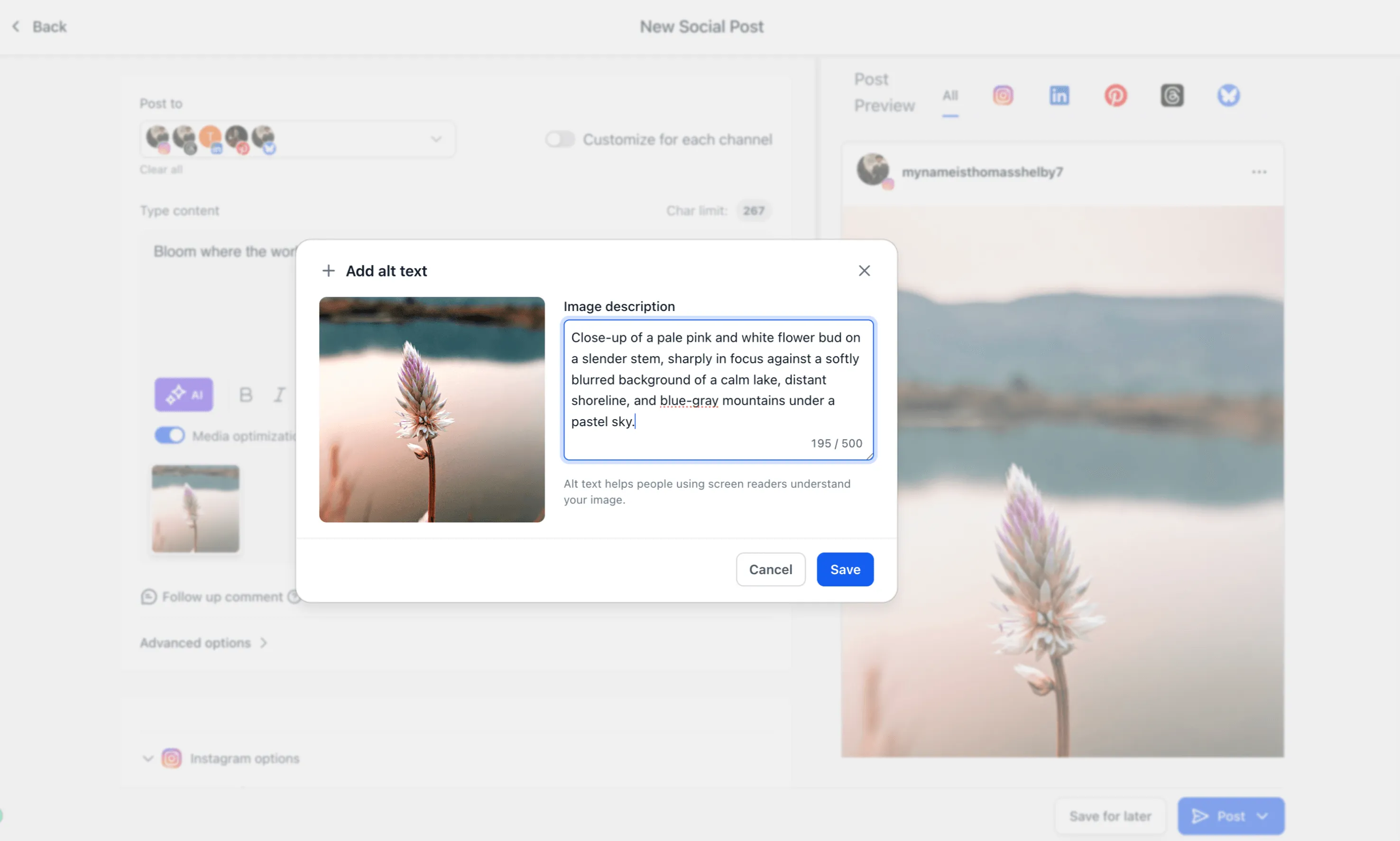Adding image alt text in Social Planner