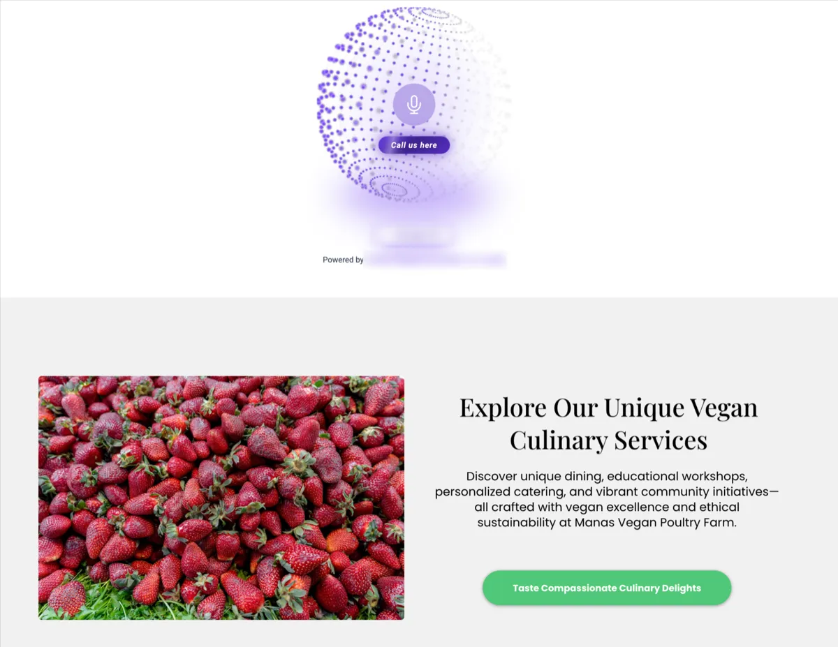 Voice AI widget embed code options