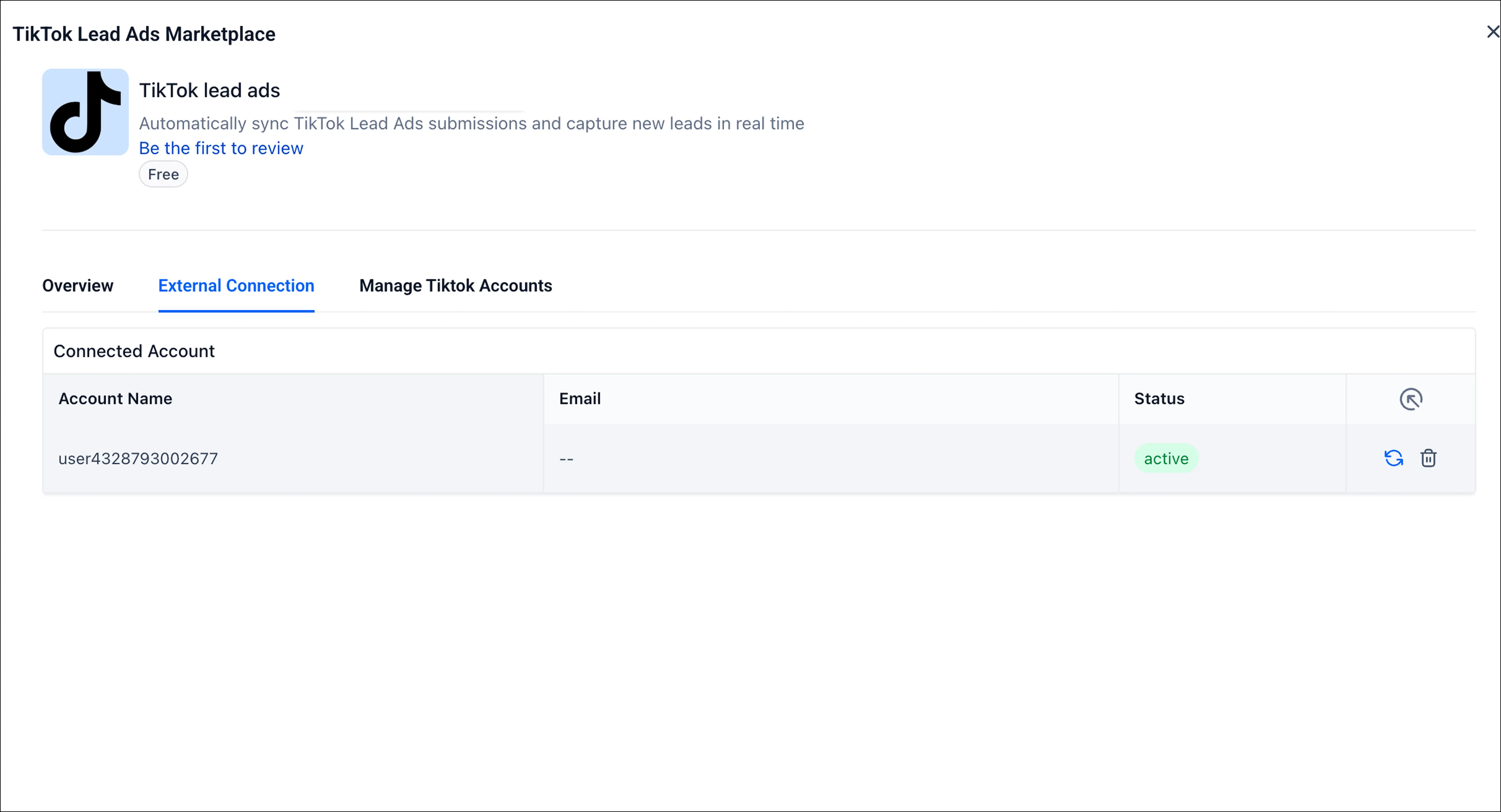TikTok Lead Ads OAuth screen