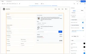Terms and Privacy Consent at Store Checkout