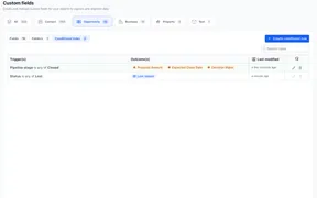 Conditional Opportunity Fields for Cleaner CRM Data
