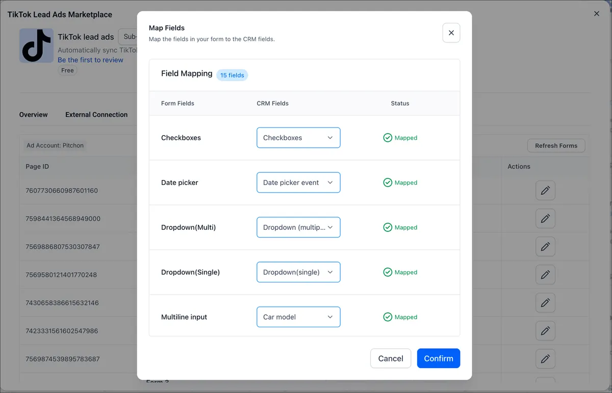 TikTok Lead Ads form mapping