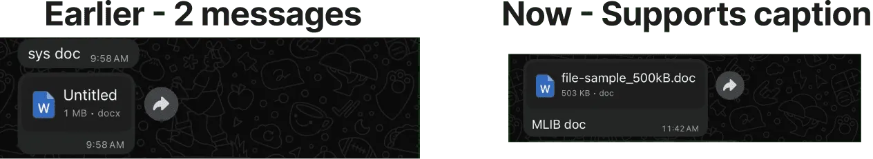 WhatsApp media message with caption in SMBcrm Conversations